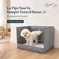 🐾 Bac à pipi pour chiens avec 3 parois anti-éclaboussures ✨ Protège le sol et les murs, pliable et peu encombrant