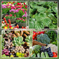 Solution liquide universelle pour l'activation des plantes et des fleurs (50 % de réduction)