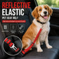 🐶🚗 Ceinture de sécurité réfléchissante et élastique pour animaux de compagnie – Système de retenue réglable pour voiture avec amortisseur de chocs