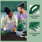 ⏳ Offre limitée : 50 % de réduction ! 🌱 Espaceur et guide-plantes pour graines de jardin – Outil de semis de précision à 12 trous 💥