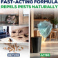 👍Offre exceptionnelle : 2 achetés, 1 offert🗑️Spray anti-insectes et anti-nuisibles à l'huile essentielle de menthe poivrée naturelle – Puissance maximale – Formule au parfum doux pour la maison et le jardin