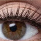-50% Aujourd’hui 💦✨ Faux Cils Auto-Adhésifs Waterproof