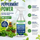 👍Offre exceptionnelle : 2 achetés, 1 offert🗑️Spray anti-insectes et anti-nuisibles à l'huile essentielle de menthe poivrée naturelle – Puissance maximale – Formule au parfum doux pour la maison et le jardin