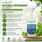 👍Offre exceptionnelle : 2 achetés, 1 offert🗑️Spray anti-insectes et anti-nuisibles à l'huile essentielle de menthe poivrée naturelle – Puissance maximale – Formule au parfum doux pour la maison et le jardin