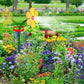 🤣 Arroseur de jardin Marguerite dansante