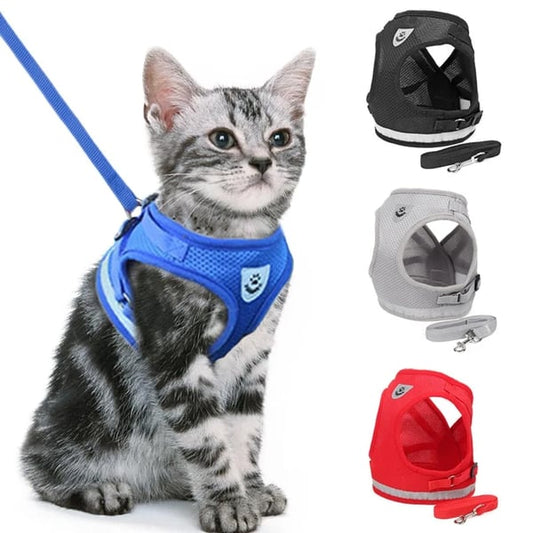 Ensemble harnais et laisse réglables, respirants et lumineux pour animaux de compagnie