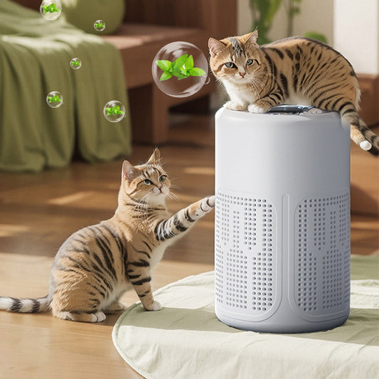 🌬️ 50 % DE RÉDUCTION ! 🔥 Purificateur d'air compact pour la maison – Best-seller 2026 – Silencieux, économe en énergie et idéal pour les personnes allergiques, la poussière et les poils d'animaux 🏠