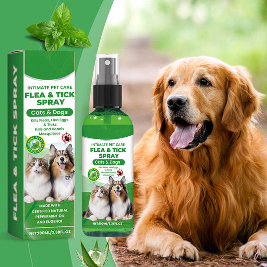 🍃Spray naturel contre les puces et les tiques pour chiens et chats🐾 Protégez votre animal de compagnie bien-aimé contre les parasites