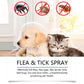 🍃Spray naturel contre les puces et les tiques pour chiens et chats🐾 Protégez votre animal de compagnie bien-aimé contre les parasites