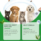 🍃Spray naturel contre les puces et les tiques pour chiens et chats🐾 Protégez votre animal de compagnie bien-aimé contre les parasites