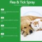 🍃Spray naturel contre les puces et les tiques pour chiens et chats🐾 Protégez votre animal de compagnie bien-aimé contre les parasites