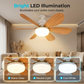 Ventilateur de plafond intelligent 2 en 1 avec éclairage