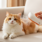 🎁Peigne de toilettage 3 en 1 pour animaux de compagnie✨