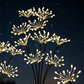 Lampes solaires à piquer pour jardin, effet feu d'artifice