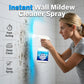 Spray nettoyant mural portable haute efficacité contre les moisissures