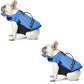 💞Plus de 50 000 exemplaires vendus !🐕👼 50 % DE RÉDUCTION ! Gilet de sauvetage pour chien « Ailes d'ange » réfléchissant – Grande flottabilité, poignée de sauvetage rapide et maille respirante. Bandes réfléchissantes pour les baignades en soirée 🌊