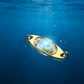 🎣 Appâts de pêche sous-marine à LED – éclairez les fonds marins et attirez les poissons en un clin d'œil ! 💡🐟✨
