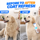 🐛 Peigne électrique aspirateur anti-puces et anti-poux pour animaux de compagnie | Sans produits chimiques, élimination immédiate des parasites, toilettage en toute sécurité pour les pelages sensibles 🐶🐱