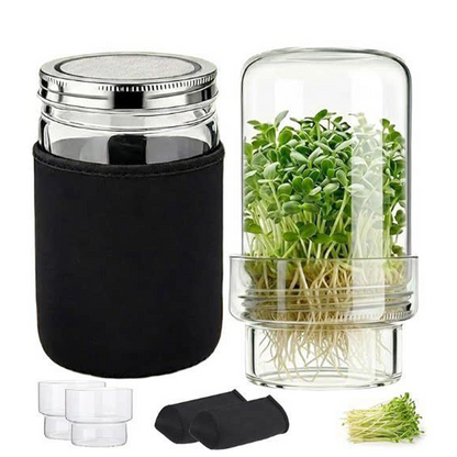 🌱 Faites pousser des pousses fraîches à la maison – Kit bocal en verre avec manchon occultant 🥗