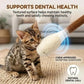 🔥 50 % DE RÉDUCTION AUJOURD'HUI ! 🐱 Jouet interactif avec tige et herbe à chat pour chats