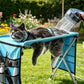 🐱🛏️ Lit de toilettage pliable 2-en-1 – Table stable et antidérapante, se transforme en couchage douillet, idéal pour brosser, couper les griffes et offrir une sieste réparatrice 💤✂️