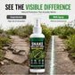 🐍🌿 ACHETEZ-EN 2, OBTENEZ-EN 1 GRATUITEMENT ! Spray anti-serpents à action rapide pour l'extérieur | Pour le jardin, la terrasse et autour de la maison | Facile à appliquer
