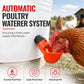 💳 PROMO FLASH : 50% DE RÉDUCTION ! Abreuvoirs automatiques à gravité pour poulets