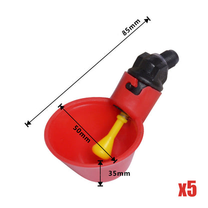 💳 PROMO FLASH : 50% DE RÉDUCTION ! Abreuvoirs automatiques à gravité pour poulets