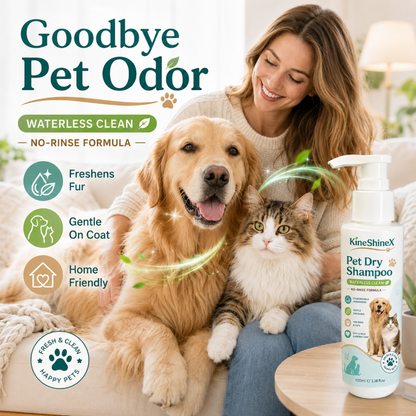 🐾 50 % DE RÉDUCTION EN CE MOMENT ! 🧴 Mousse de shampoing sans rinçage pour animaux de compagnie – sans eau, apaisante et au parfum frais – idéale pour les chiens et les chats à la peau sensible 🐕🐈✨