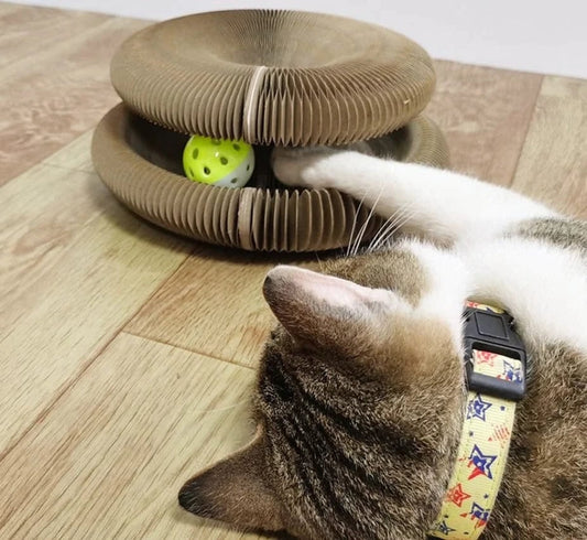 🔥50 % de réduction pour une durée limitée 🔥Griffoir pour chat Magic Organ - avec une balle-clochette