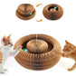 🔥50 % de réduction pour une durée limitée 🔥Griffoir pour chat Magic Organ - avec une balle-clochette
