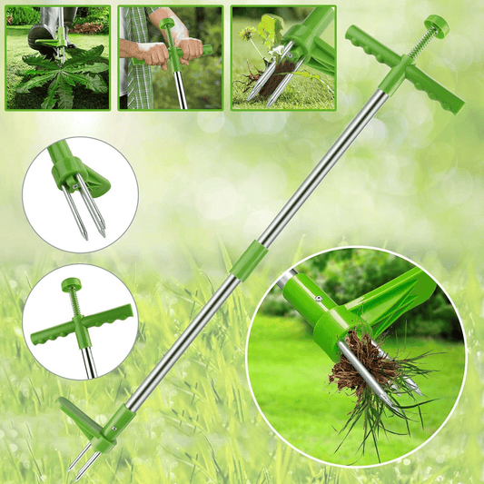 ⏰💥Offre à durée limitée : 50 % de réduction！✨Arrachateur de mauvaises herbes amovible à position verticale