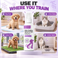 🐾 50 % DE RÉDUCTION EN CE MOMENT ! 🐾 Plus de 10 000 exemplaires vendus ! Spray d'apprentissage de la propreté – neutralise efficacement les odeurs, polyvalent et sans danger – idéal pour les chiots, les chats et une maison plus propre ✨