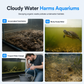 🐢💧 Collecteur de Déchets pour Aquarium et Tortues – Piège Automatique, Eaux Peu Profondes et Nettoyage Facile